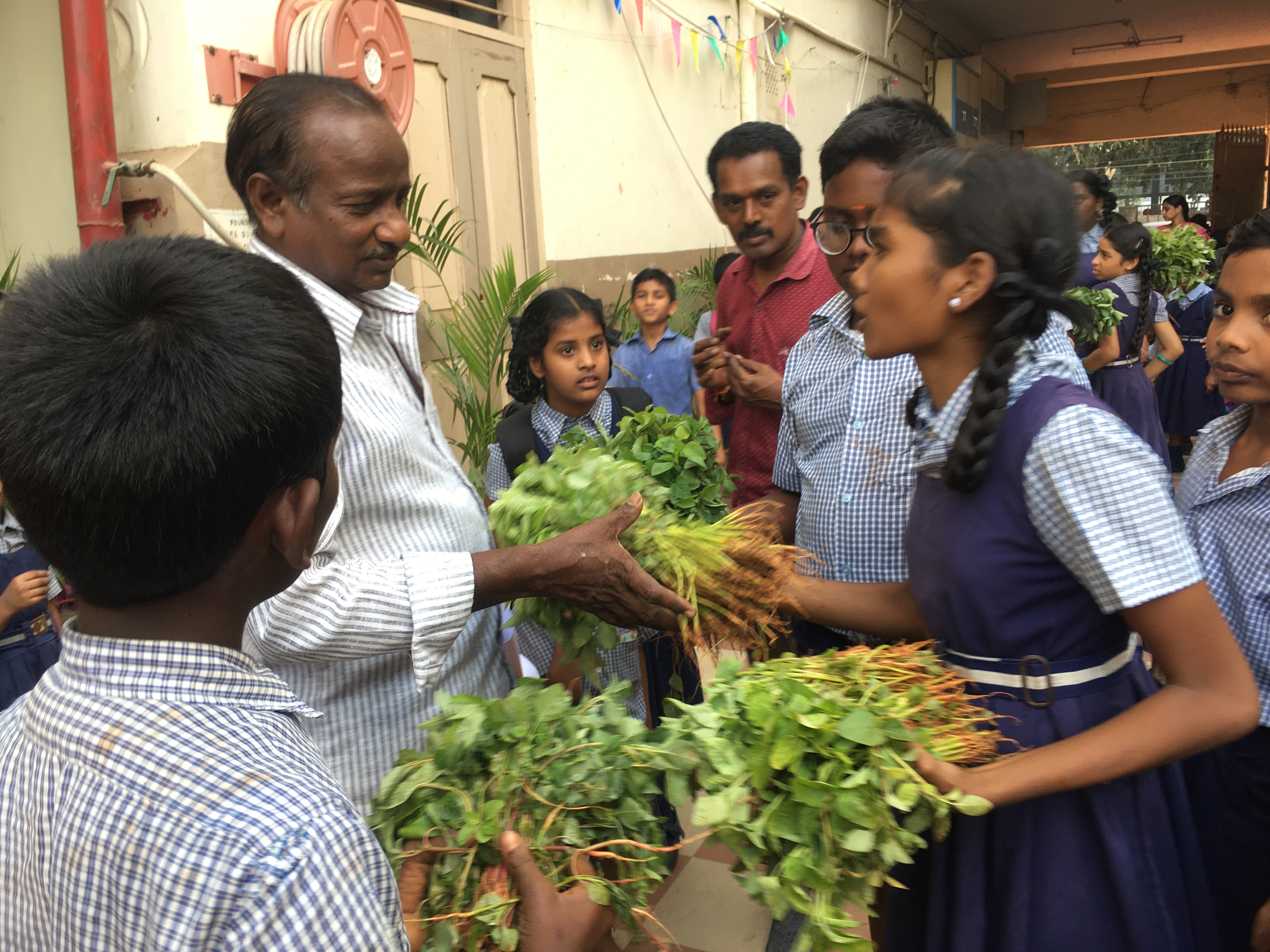 Project Seed To Seed